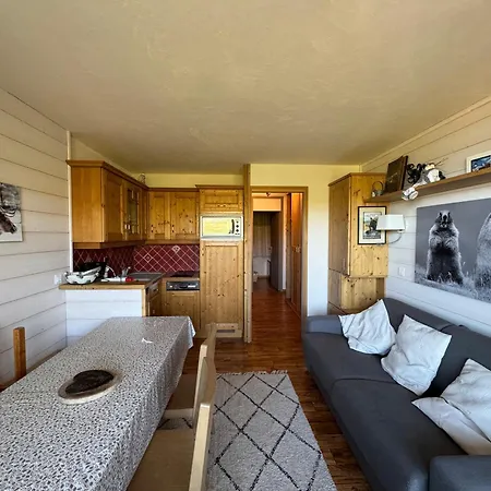 Belle Plagne, 2 Pièces, 5 Personnes - Fr-1-181-2062 Appartement *